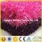 100% Polyester Tip-dyed Plush pv Plush Fabric
