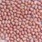 chinese peanut kernels