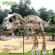 Dinosaur Fossil for Playground