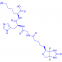 Biotinoyl Tripeptide-1 299157-54-3