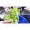 Ozone Ultrasonic Leafy Vegetable Fruit Cabbage Broccoli Potato Chips Garlic Washing Machine