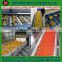 Fruit & Vegetable Washing Drying Waxing Sorting Line Machine Fruits Processing