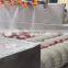Automatic Fruit Peach Olive Washer Chili Vegetable Washing Machine