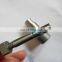 Diesel Engine P Type Plunger 2455/022 2 418 455 022 2418455022 for 2628 (OM422 OM423)