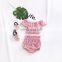 Children Fashion Girls  Boutique Outfits Spring Autumn  Baby Girl Velvet Set