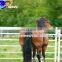 Galvanized livestock metal fence Cattle Fence used horse corral panels wholesale