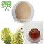 Super food Anti cancer Soursop Fruit Powder Graviola Fruit Extract Graviola Powder