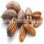 Raw Roasted Baked Salted Pecan Nuts with Shell Bags Top quality