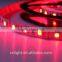 Underwater LED Strip light IP68 24 volt LED strip lighting