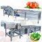 Automatic Commercial Industrial Hot Sell Auto Air Bubble Cleaner Washer Clean Fruit And Vegetable Wash Machine