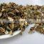 Fibrin Dried White FUNGUS MUSHROOM 2016