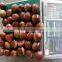 2015 new crop Tai an chestnut for export
