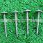 china umbrella corrugated roofing nails