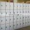 Commercial Furniture HPL Swimming Pool Locker with six doors