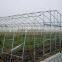 hydroponics agricultural greenhouse film
