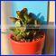 Decorative Cheap Flower Plant Pot/Cloud Rainy Pots