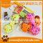 WP05 colorful soft rubber singing dog toy