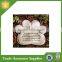New Products Resin Pet Paw Memorial Plaques