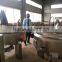 Hot sale semi automatic commercial garri processing machine