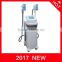 Body Contouring 2017 Newest MSLCY02-1 Cryolipolysis Cavitation Fat Melting Laser Slimming Machine&professional Fat Freezing Multifunctional Beauty Machine