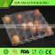 30 Packs blister disposable plastic egg box