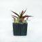 PVC Small Mini Fake Potted Aloe Plant in Black Square Pulp Pot for Wholeselling