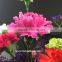 Fresh Cut Flower Buyer Purple Carnation Flower Arrangement From Kunming Superbly Carnation Flowers
