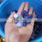 bule color natural polished agate tumble stone