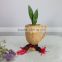 Fashion Design Decoration Small Wooden Color Resin Plant Pot Roller