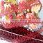 China supplier wine red Chemical Lace/Water Dissolving Lace/ Lace in stock2.75 cm wide