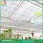 P96VT540 Venlo roof type PC greenhouse small polycarbonate greenhouse