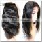 Brazilian human hair wigs/ lace front wigs/ full lace wigs