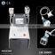 Portable 2 in 1 Cryolipolysis Fat Freeze Cellulite therapy Machine with Vacuum RF Roller skin tighten and weight loss machine