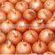 Wholesale Fresh Onion/Yellow Red Onion Exporters in China Onions in Bulk