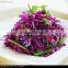 Chinese vegetable hybrid cabbage Seeds purple vegetable seeds for planting-V02