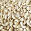 good quality CASHEW NUTS WW320