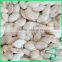 Dried 2016 Crop Pumpkin Kernels Snow White Pumpkin