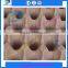 Paper waterproof egg trays/Plastic food tray/ Plastic incubator egg tray