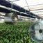 Greenhouse Agricultural Ventilation Fan Axial Fan