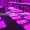 Bridgelux Epistar Crees chips led grow light 1000w panel full spectrum led grow light