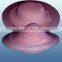 Himalayan Red Salt 100% Food Grade Organic