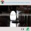 Eco-friendly office decorations led electric mood lamp