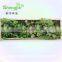 SJLJ013343 plastic grass wall / fake green grass wall for garden home decoration