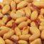 Nuts Seasoning Machine|Nuts Flavoring Machine