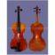 Violins Offer