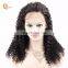 Human Hair Lace Front Wig Brazilian Remy Hair Lace Wigs Pre Plucked 18 Inches