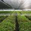 Agriculture frame vegetable nursery sun shade net