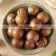 Hawaii fruit, macadamia nut shell dehusking processing machine
