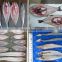 High efficiency fresh fish cutting machine/machine of cutting fish fillets