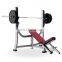 Life Fitness Machines Weight lifting series Incline Bench Press TW69
